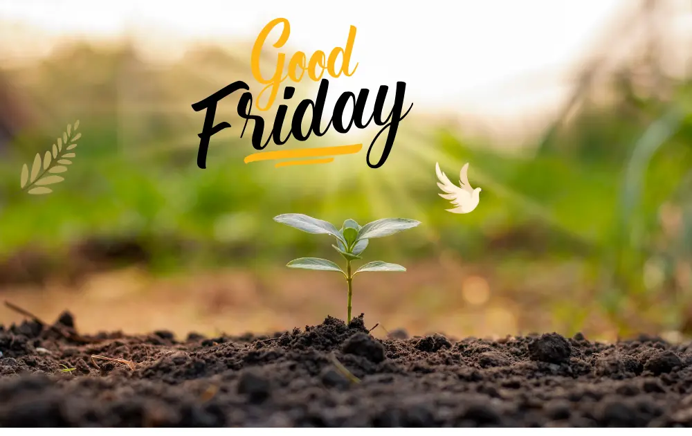 A green plant growing in the soil, greenery around it, "Good Friday" written above and a white dove symbolizing peace nearby.